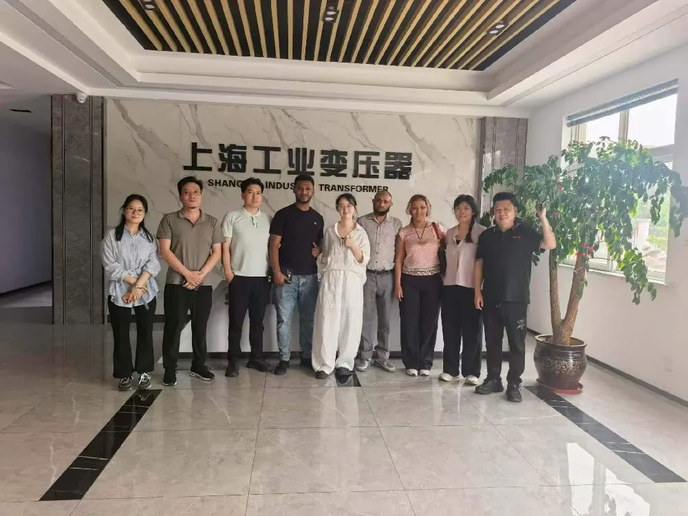 Hjertelig velkommen! Etiopisk delegasjon besøker Shanghai Industrial Transformer Co., Ltd. for utveksling av transformatorer og kraftdistribusjonsutstyr